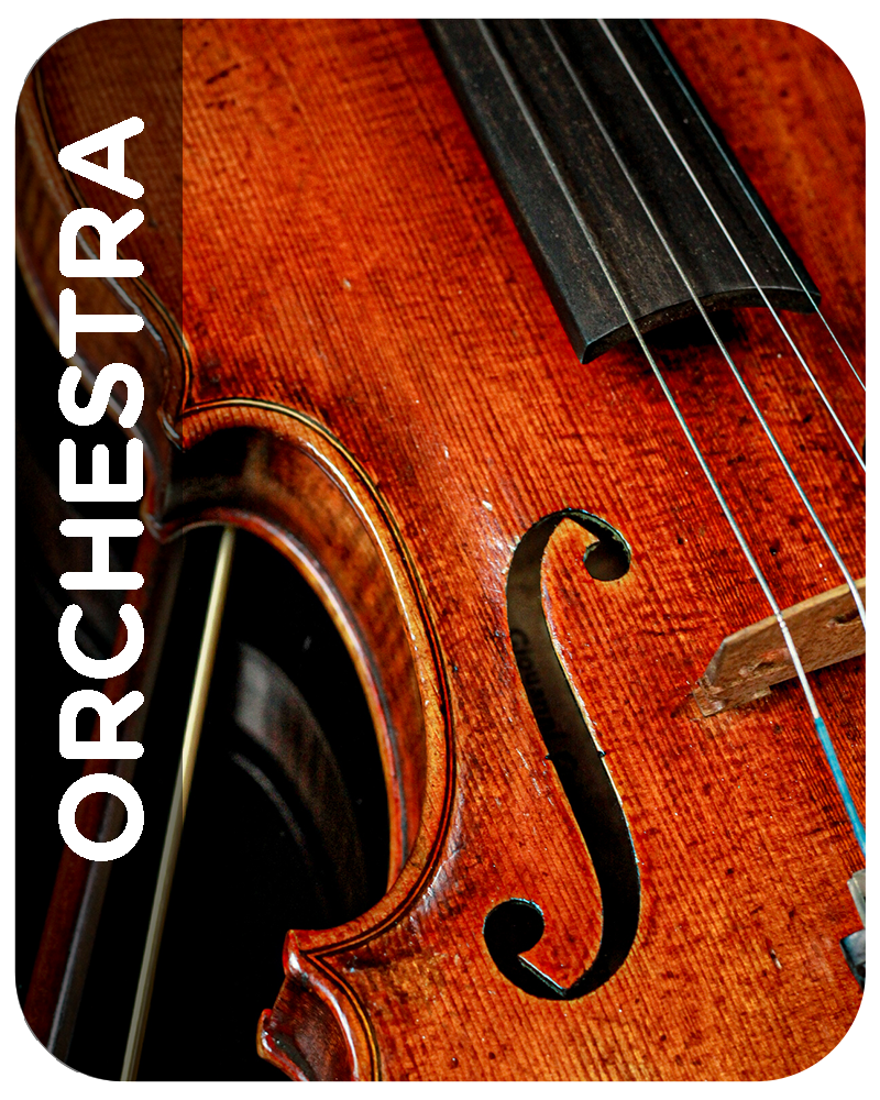 Shop Orchestra Category